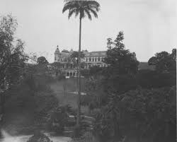 laranjeiras